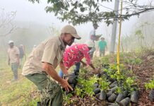 Organizaciones impulsan jornadas de reforestación Lago Enriquillo