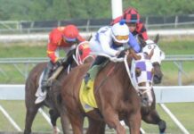 Jinetes Quevedo y Jiménez ganan dos carreras, el Pool paga RD$3,624.00