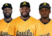Águilas Cibaeñas anuncian las contrataciones de Rafael Dolis, Yoelvin Silven y Kenyi Pérez