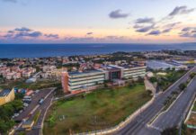 Ministerio de Turismo será patrocinador oficial del equipo dominicano en el Clásico Mundial de Béisbol