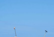 Celebrarán novena edición de la Copa de Polo Save the Children en Puntacana Resort