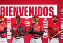 De la Cruz, Liz, Hernández y Castillo firman con el Escogido