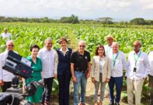 Industria del tabaco impulsa la economía con un aporte de 1,356 millones de dólares anuales, afirma la vicepresidenta Raquel Peña