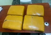 Ejército ocupa cuatro pacas de presunta marihuana abandonadas en zona fronteriza de Elías Piña