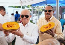 Inespre inicia venta de combos de habichuelas con dulce a RD$300 en la Feria Agropecuaria 2026