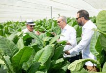 Abinader visita finca tabacalera “La Milagrosa” de Arturo Fuente en Monte Plata para replicar su moderna y avanzada tecnología