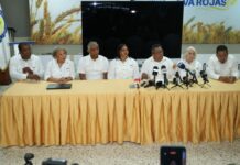 Pan y productos de harina subirán de precio en RD, advierten productores