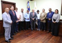 MESCyT apoyará la formación y titulación de artistas dominicanos