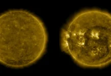 La vida interna del Sol contada en cuatro décadas de datos