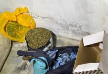 El Ministerio Publico y la DNCD ejecutaron seis allanamientos e intervenciones en Higüey