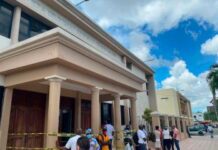 Diez años de prisión por tráfico de drogas para extranjera y jardinero de aeropuerto