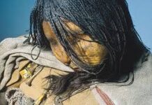 El ADN desvela la compleja historia evolutiva de América y su vasta diversidad genética