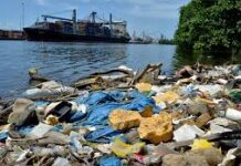 El crimen de agresión y los daños al medio ambiente