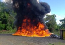 El Inacif quema más de mil kilogramos de distintas drogas