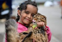 Putin y Bin Salmán debaten crisis en Oriente Medio y situación en el mercado de petróleo