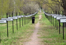 Grossi: Chernóbil no es historia, es una responsabilidad viva
