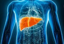 Logran cultivar tejido hepático sano en un organismo, el primer paso para futuras terapias