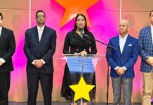 PLD denuncia crisis de violencia, inseguridad ciudadana y ausencia de plan de prevención de parte del Gobierno