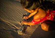 Niñez en República Dominicana enfrenta niveles de violencia por encima del promedio regiona