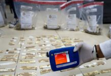 DNCD impide envío de 735 láminas de cocaína a España ocultas en cajas de cartón