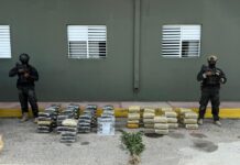 DNCD ocupa más de 600 libras de presunta marihuana