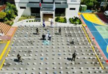 Cargamento confiscado este sábado entra en los mayores alijos incautados enRD