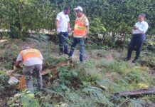 Agricultura inicia pago de más de RD$59 millones a técnicos y jornaleros de programas sanitarios