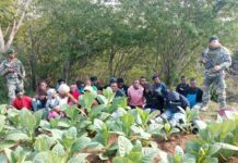 En zona boscosa de Dajabón el Ejército detiene a 23 haitianos indocumentados