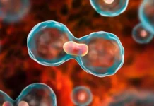 Día Mundial de la Salud: prevenir en un mundo cada vez más exigente