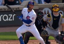 Cachorros salen del bache