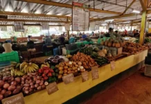 Cuba abre el comercio de productos agrícolas al sector privado