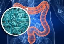 La microbiota intestinal puede revelar el riesgo de padecer párkinson