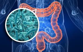 La microbiota intestinal puede revelar el riesgo de padecer párkinson