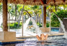 La industria del bienestar y la posición de la RD