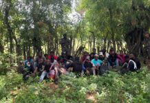 Interceptan grupo de haitianos indocumentados en zona boscosa de Guayubín