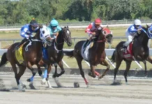 Esperan este martes duras peleas en carreras Quinto Centenario
