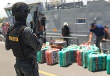 Alijo incautdo en SD tuvo un peso superior a una tonelada