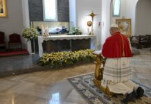 León XIV celebra su primer año de pontificado suplicando la paz en el santuario de Pompeya