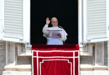 El papa lamenta que las guerras han frenado avances sobre el cuidado del medio ambiente