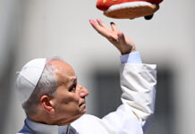 El papa pide a Dios que despierte las conciencias humanas para alejarlas de la guerra