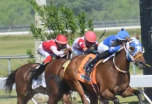 Entrenador José Rozino gana 3 carreras con 3 establos en el Quinto