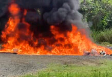 El Inacif destruye más de 1,400 kilogramos de distintas drogas