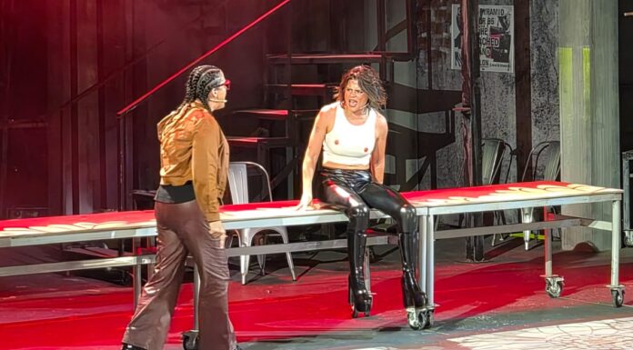 RENT, musical de lo indecible