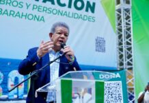 Leonel: “Este gobierno se la ha cogido con los partidos políticos”