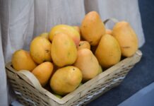 Expo Mango 2026 impulsará la innovación, la inocuidad y la comercialización del mango dominicano