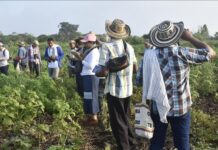 El desplazamiento interno afecta a 10 millones en AL