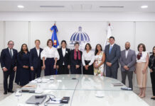 Gobierno de Alemania explora alianza energética con RD para renovables y minería sostenible