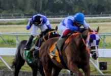 Jinete Jimmy Jiménez gana dos carreras; El Pool paga RD$1,372.00