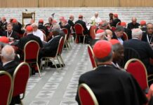 Los cardenales alertan al papa sobre el individualismo y debaten la idea de “guerra justa”