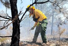 Incendio en Sierra de Bahoruco entra en fase decisiva tras controlar el 70 % del perímetro afectado